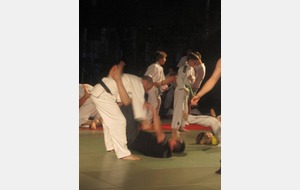 Cours de Judo - Self Défense